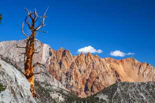 Piute Crags-7797.jpg Piute Crags-7797.jpg